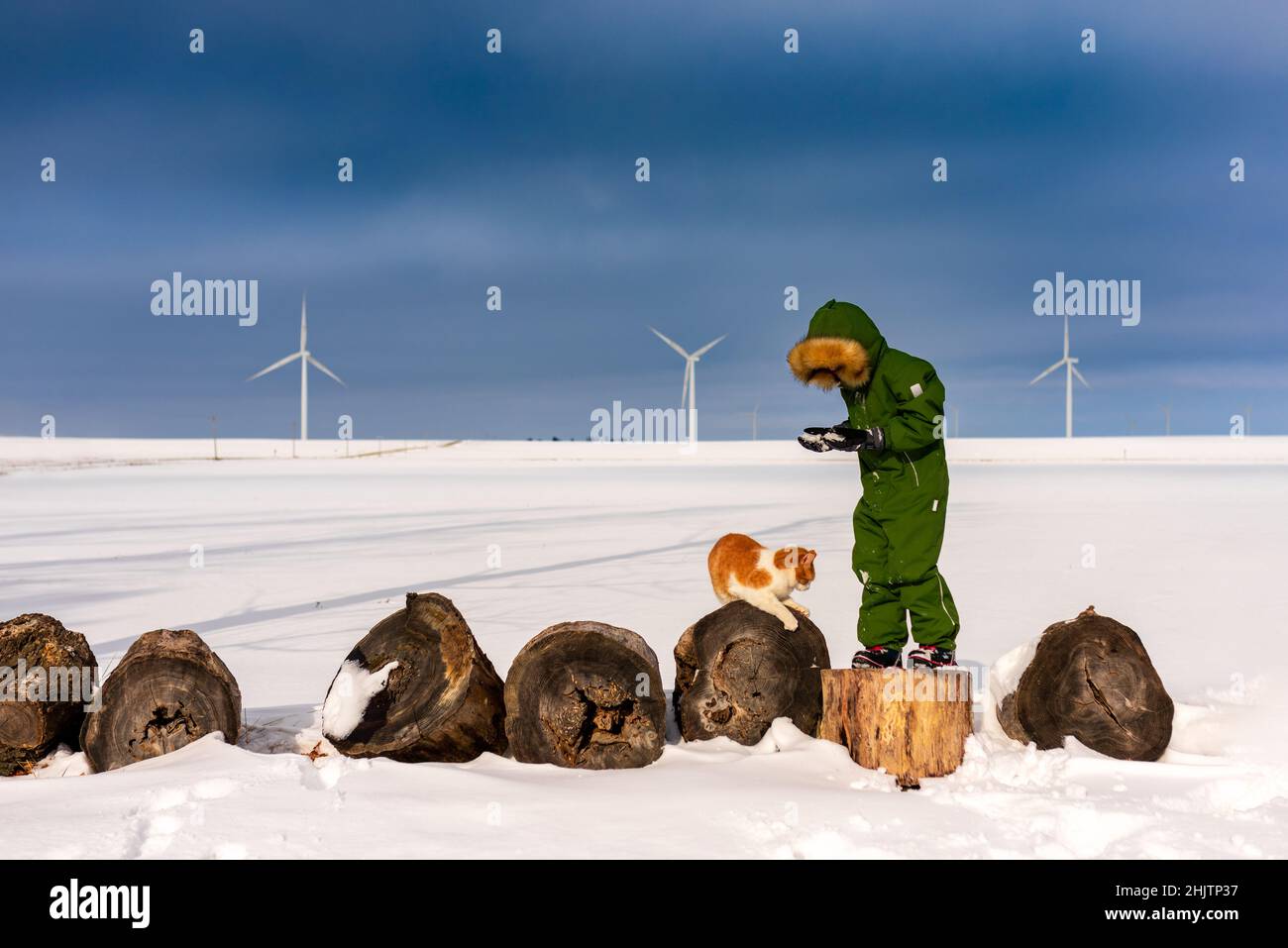 a boy walking on logs in the snow with his pet cat Stock Photo