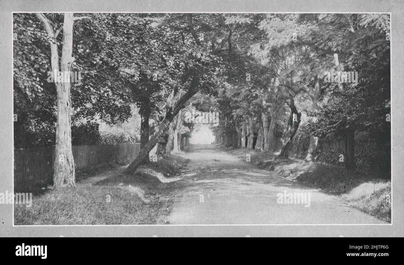 Ducie Avenue, Bembridge. Hampshire (1913) Stock Photo