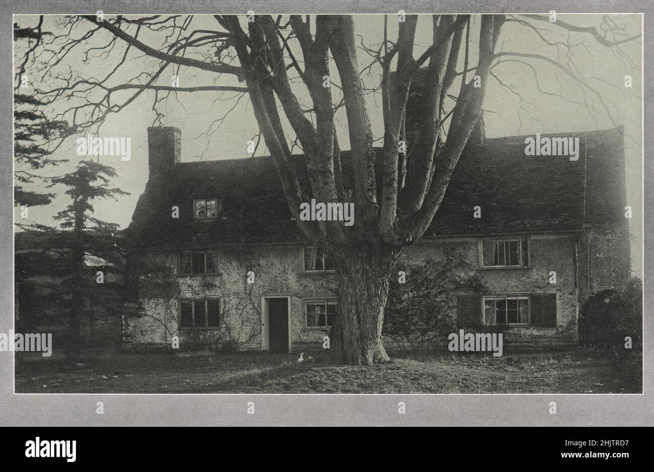 Buckden Cottage, Brampton. Huntingdonshire (1913) Stock Photo