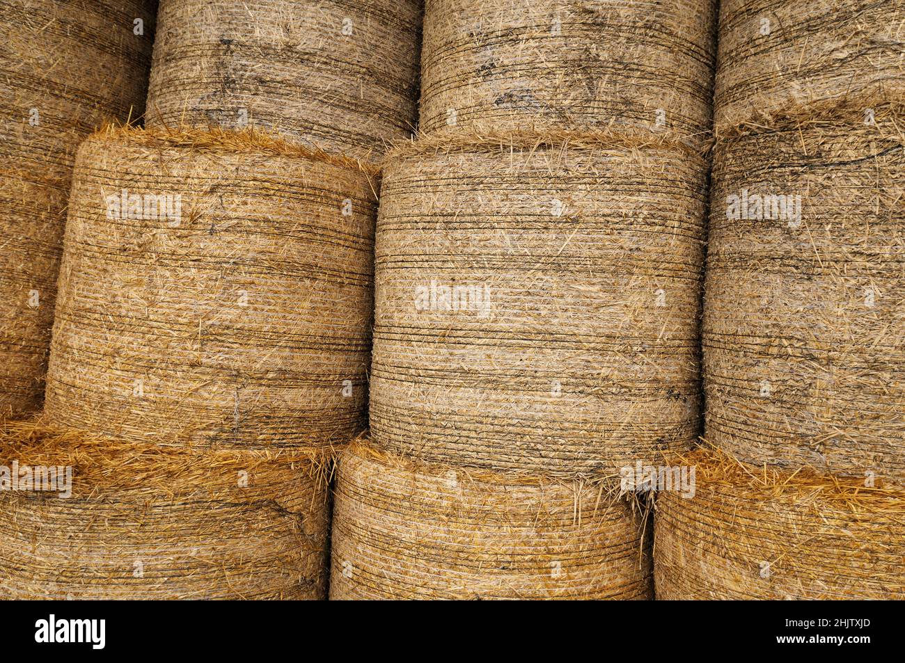 Round hay bales stacked Stock Photo