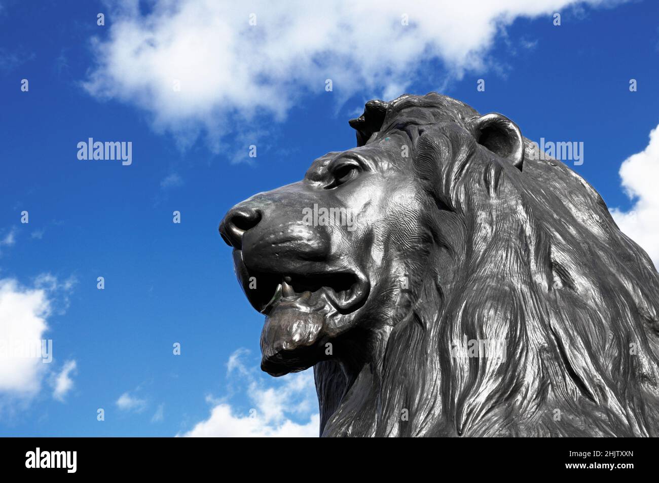 Bronze lion statue by Sir Edwin Landseer, Trafalgar Square, City of Westminster, London, England, UK Stock Photo