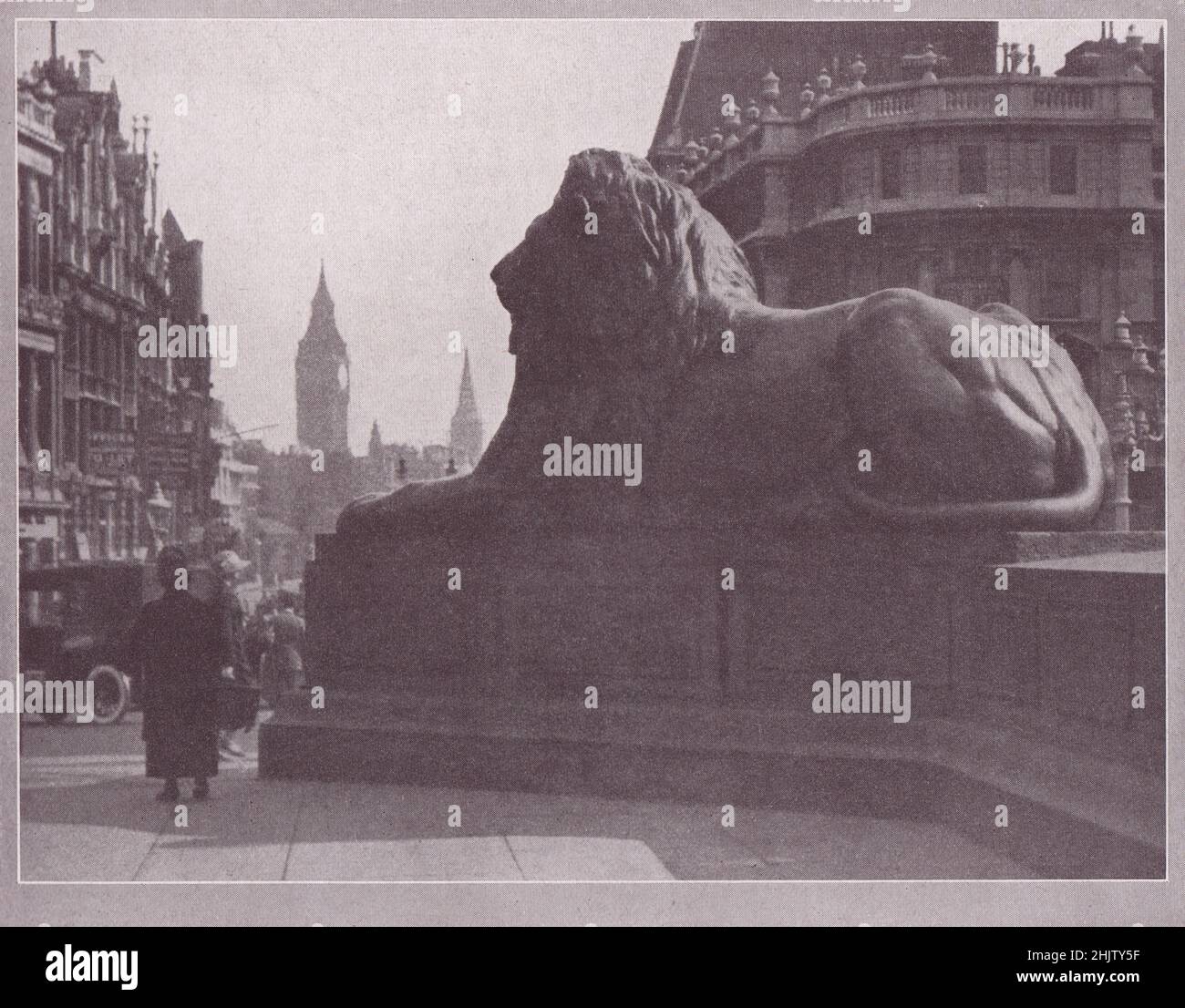 One of the Lions, Trafalgar Square. London (1913) Stock Photo