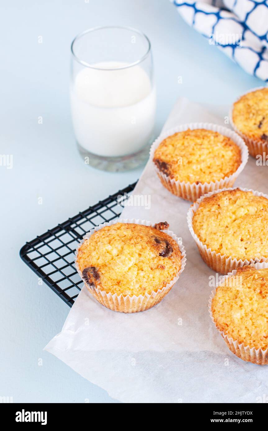 Homemade easy muffins with chocolate chips and glass of milk on cooling rack. Stock Photo