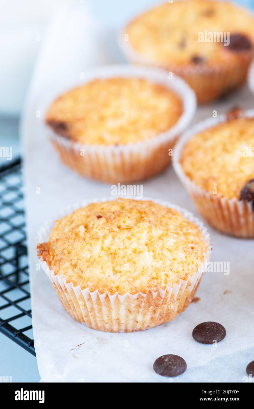 Homemade easy muffins with chocolate chips. Stock Photo