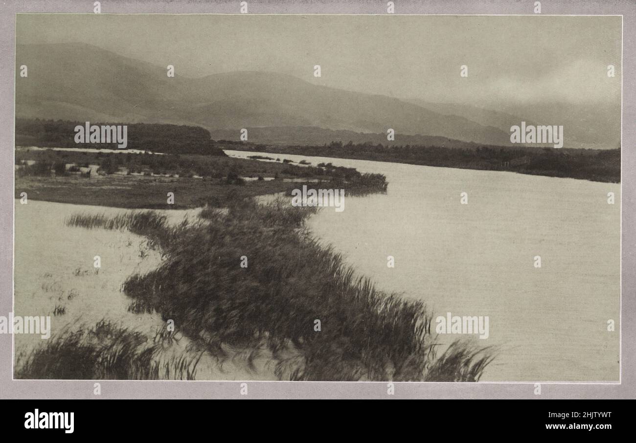 A River in Flood near Towyn. Merionethshire (1913) Stock Photo