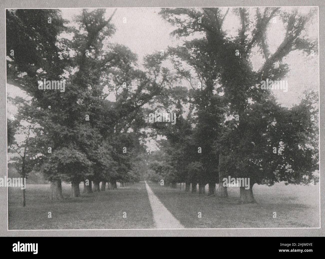 Althorp Park, near Northampton. Northamptonshire (1913) Stock Photo