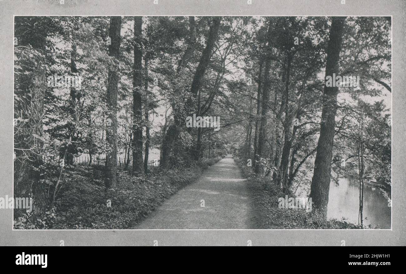Addison illustration hi-res stock photography and images - Alamy