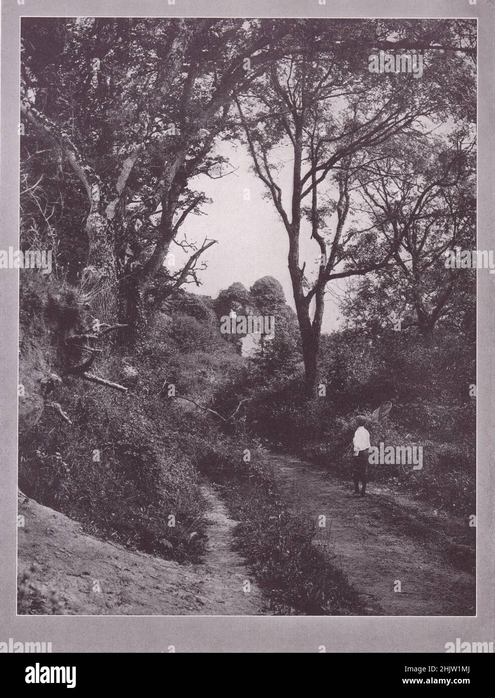 At Gumfreston. Pembrokeshire (1913) Stock Photo
