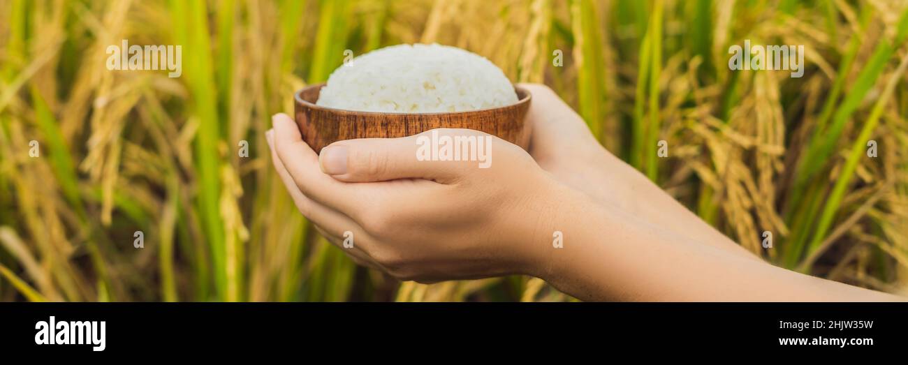 The hand holds a cup of boiled rice in a wooden cup, against the ...