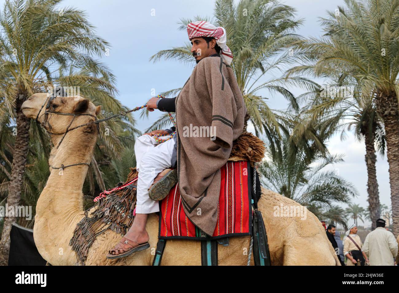 gaza-palestine-31st-jan-2022-a-bedouin-man-rides-his-camel-in-al-zahra-city-central-gaza-strip-the-life-of-the-bedouins-and-the-badia-in-gaza-is-characterized-by-a-number-of-fixed-customs-and-traditions-that-do-not-change-they-rather-adhere-to-them-and-teach-them-to-their-children-photo-by-ahmed-zakotsopa-imagessipa-usa-credit-sipa-usaalamy-live-news-2HJW36E.jpg