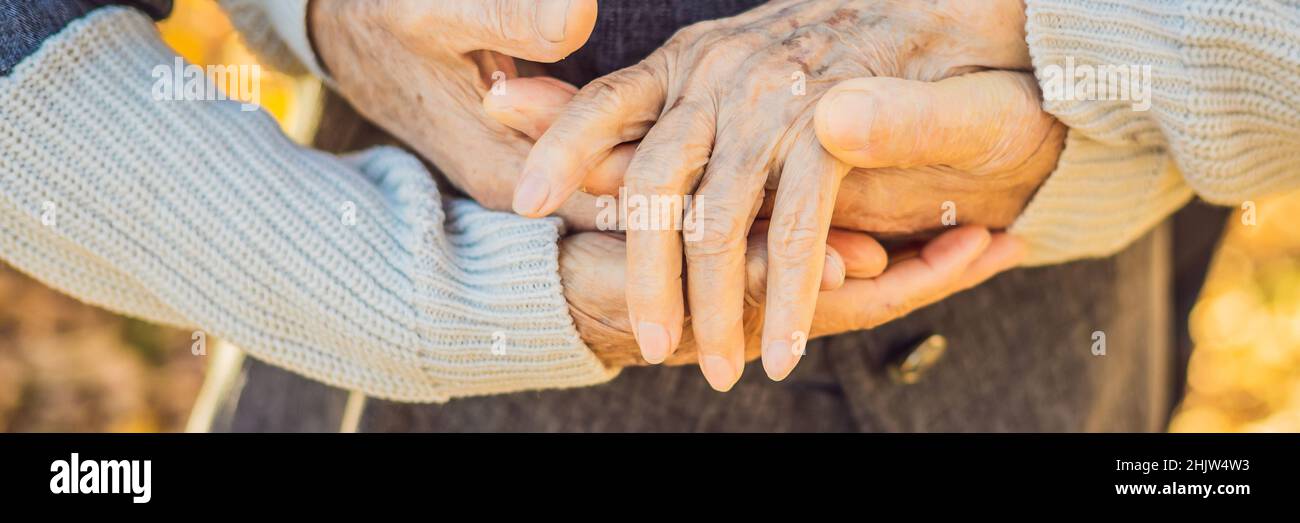 elderly couple holding hands in autumn park BANNER, LONG FORMAT Stock ...