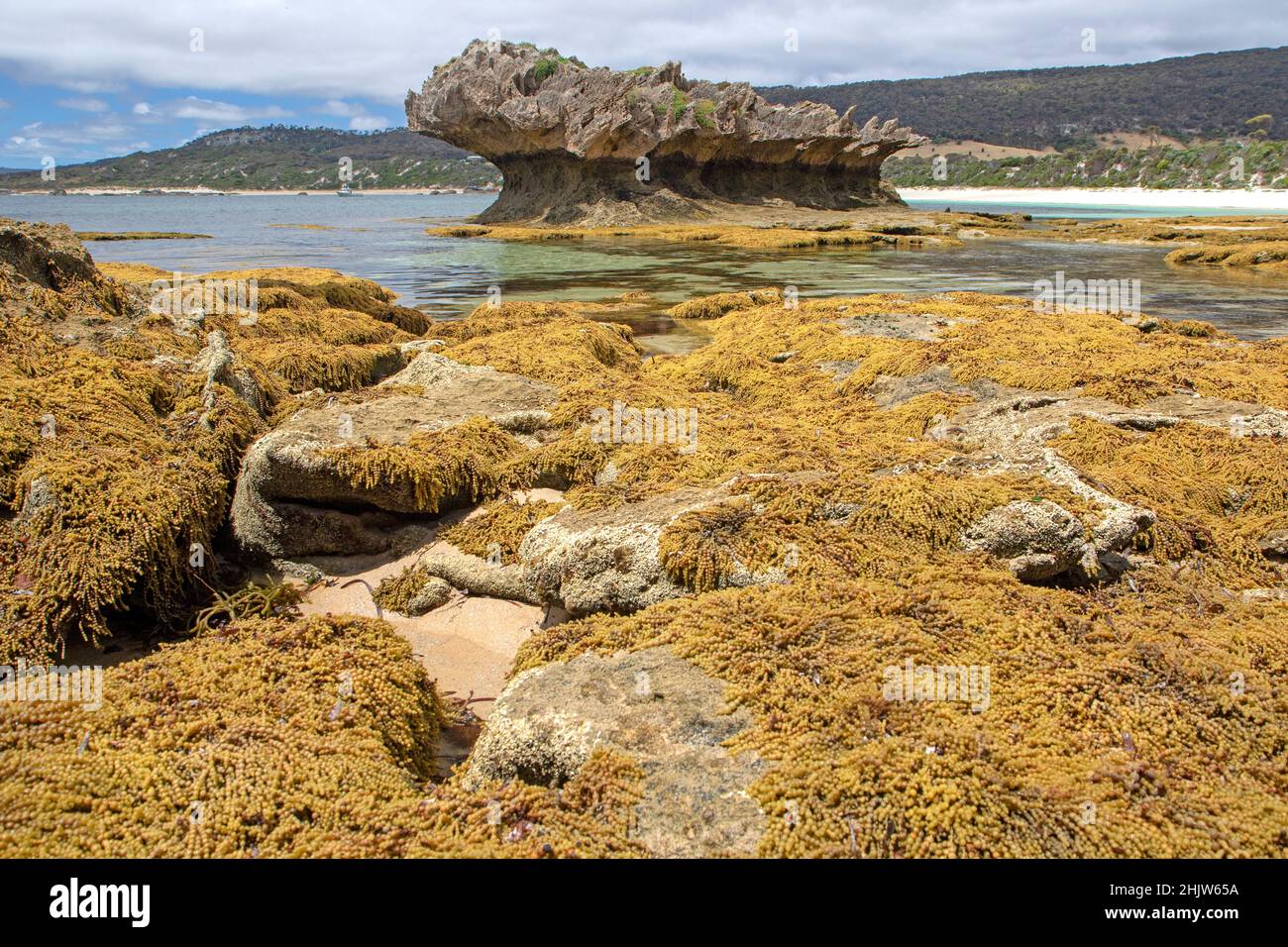 Flinders Island