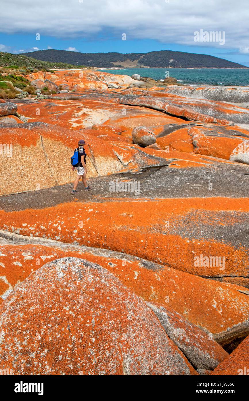 Woman walking on the coast at Palana, Flinders Island Stock Photo