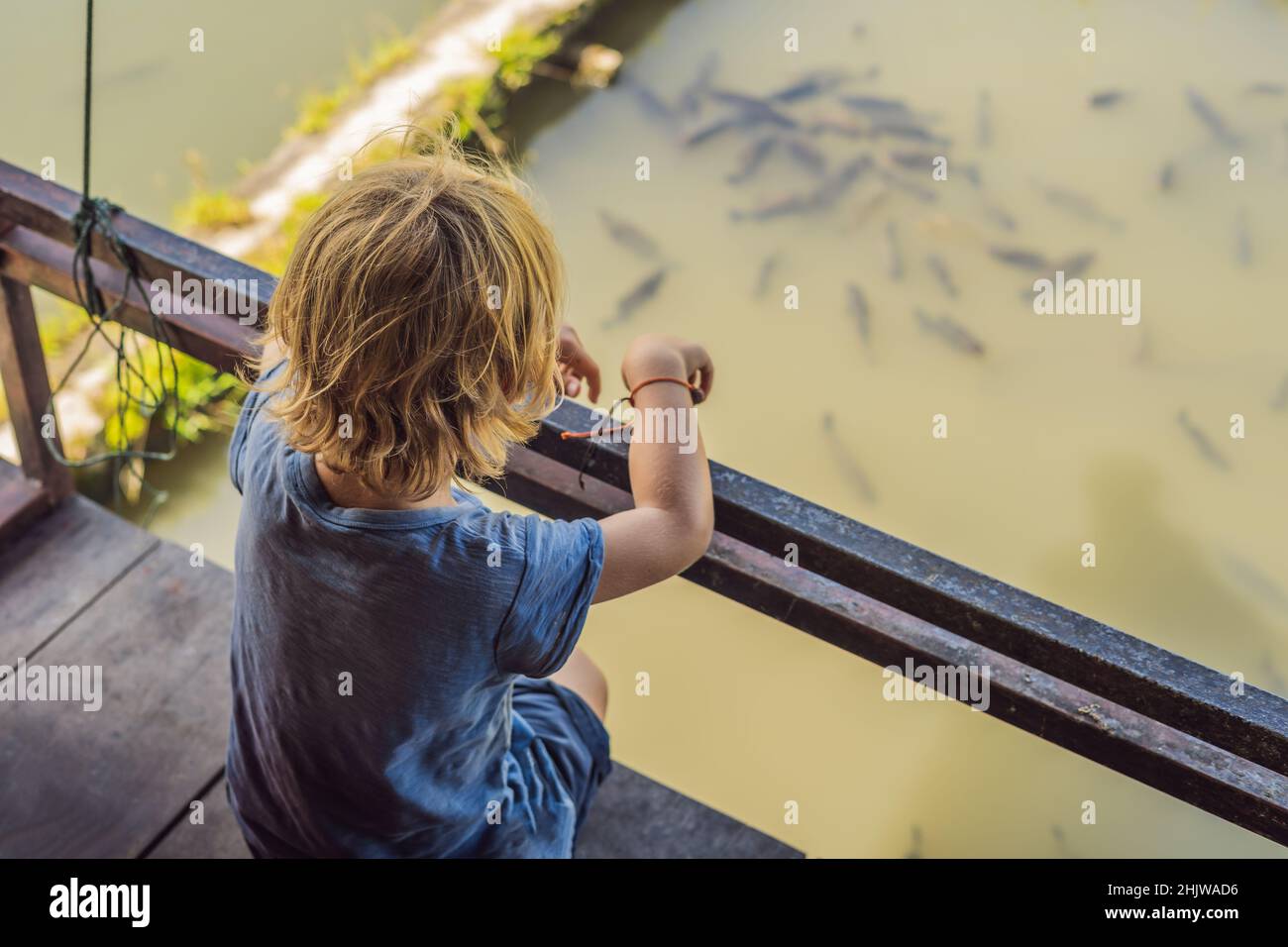 Kids And Fish Pond: Over 5,619 Royalty-Free Licensable Stock Photos