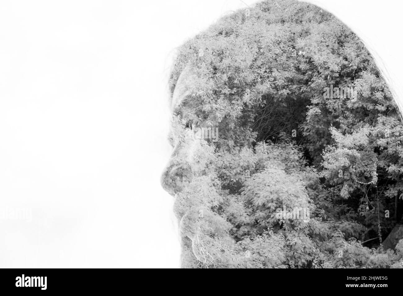 Double exposure of face woman with tree branches and leaves backfeound ...