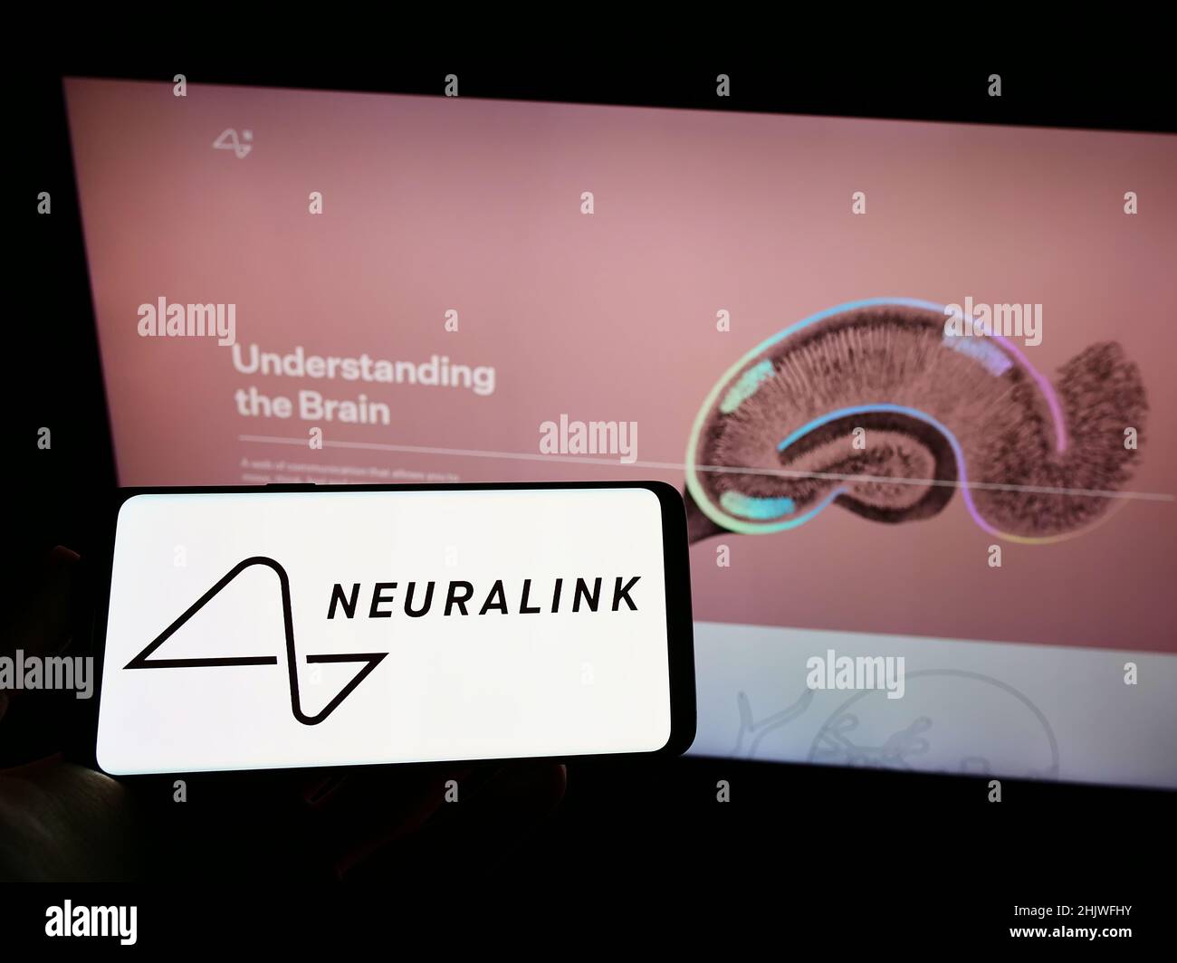 Person holding cellphone with logo of American neurotechnology company Neuralink Corp on screen in front of webpage. Focus on phone display. Stock Photo