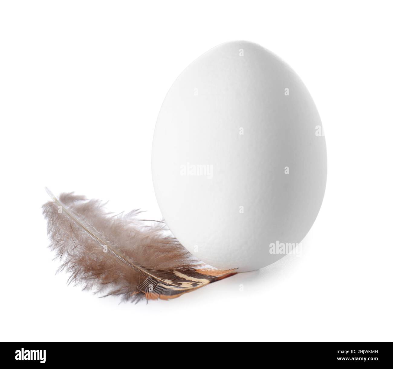 Easter egg and feather on white background Stock Photo - Alamy