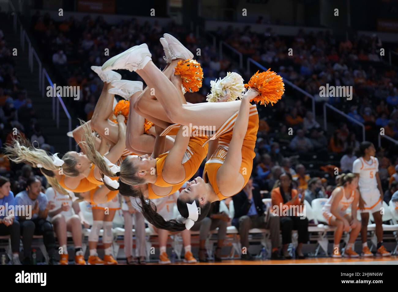 January 31, 2022: Tennessee Lady Vols cheerleaders celebrate a made free throw during the NCAA basketball game between the University of Tennessee Lady Volunteers and the University of Arkansas Razorbacks at Thompson Boling Arena in Knoxville TN Tim Gangloff/CSM Stock Photo