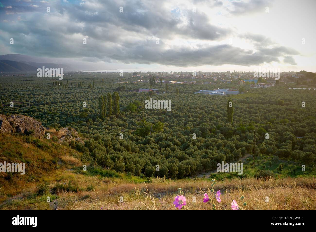 Turkey country farming hires stock photography and images Alamy