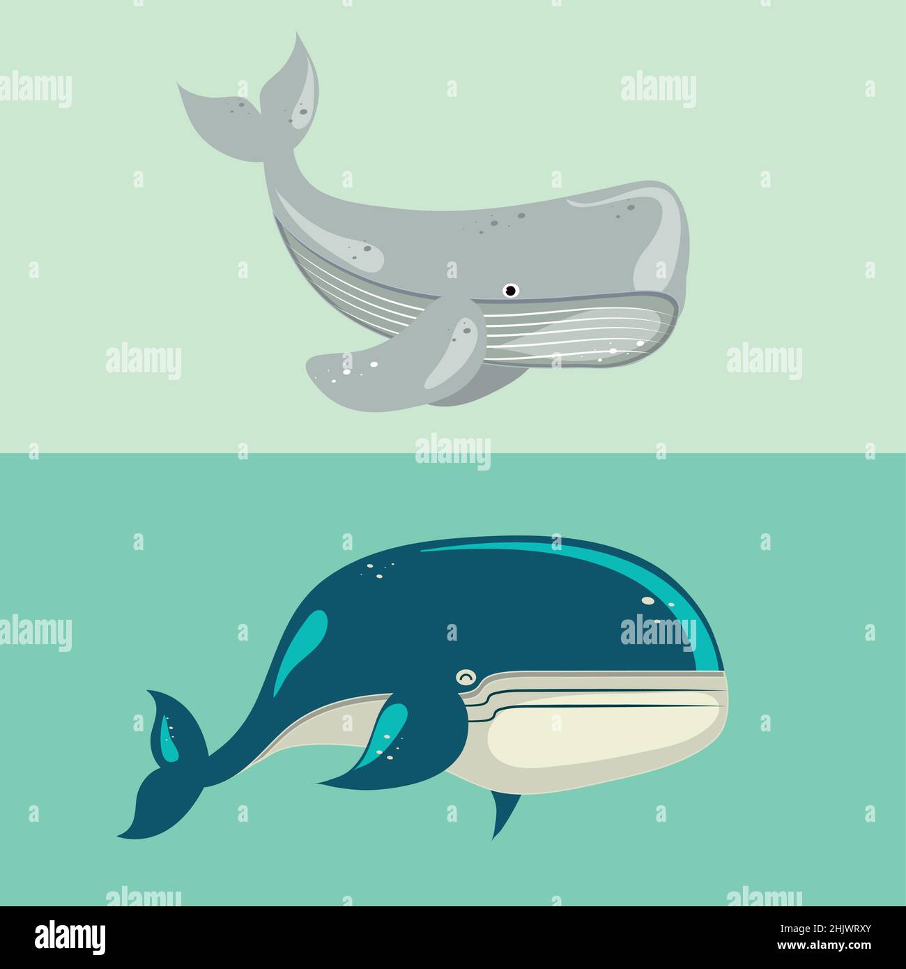 whale sea wildlife Stock Vector Image & Art - Alamy