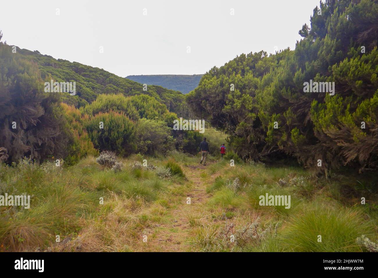 Two hikers climbing mountain hi-res stock photography and images - Alamy