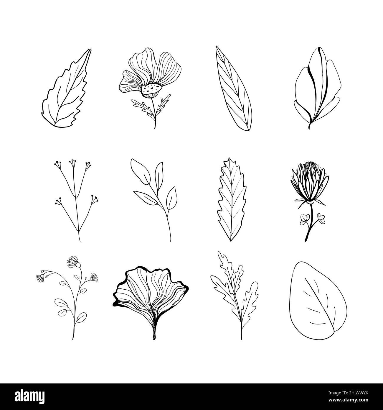 Set of flowers and leaves in doodle style. Vector illustration ...