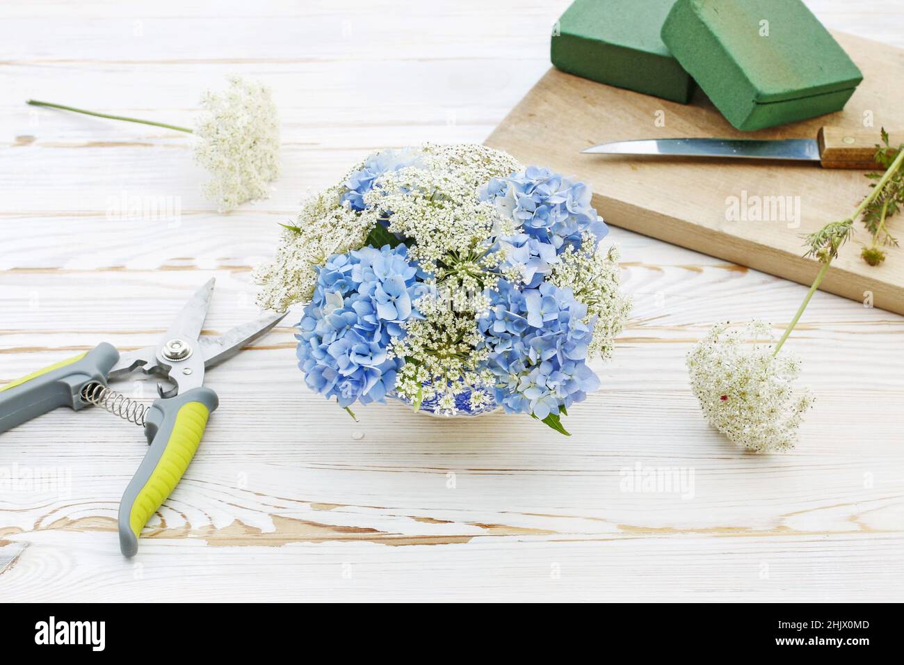 Florist at wotk: How to make floral arrangement with blue hortensia (hydrangea) and white Queen Anne's lace (daucus carota) flowers on white wooden table. Step by step, tutorial. Stock Photo