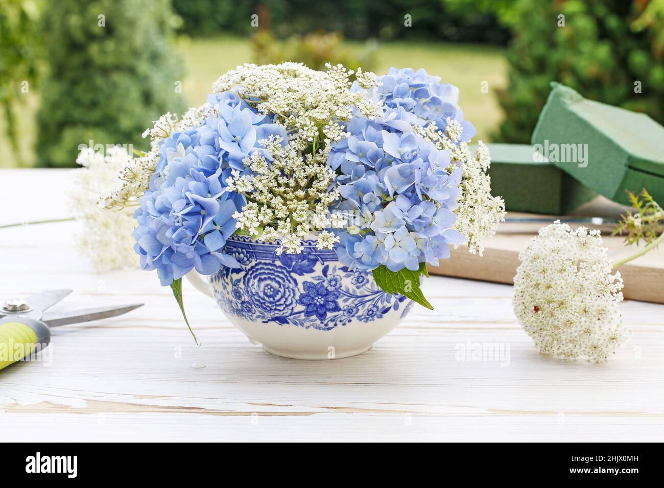 Florist at wotk: How to make floral arrangement with blue hortensia (hydrangea) and white Queen Anne's lace (daucus carota) flowers on white wooden table. Step by step, tutorial. Stock Photo