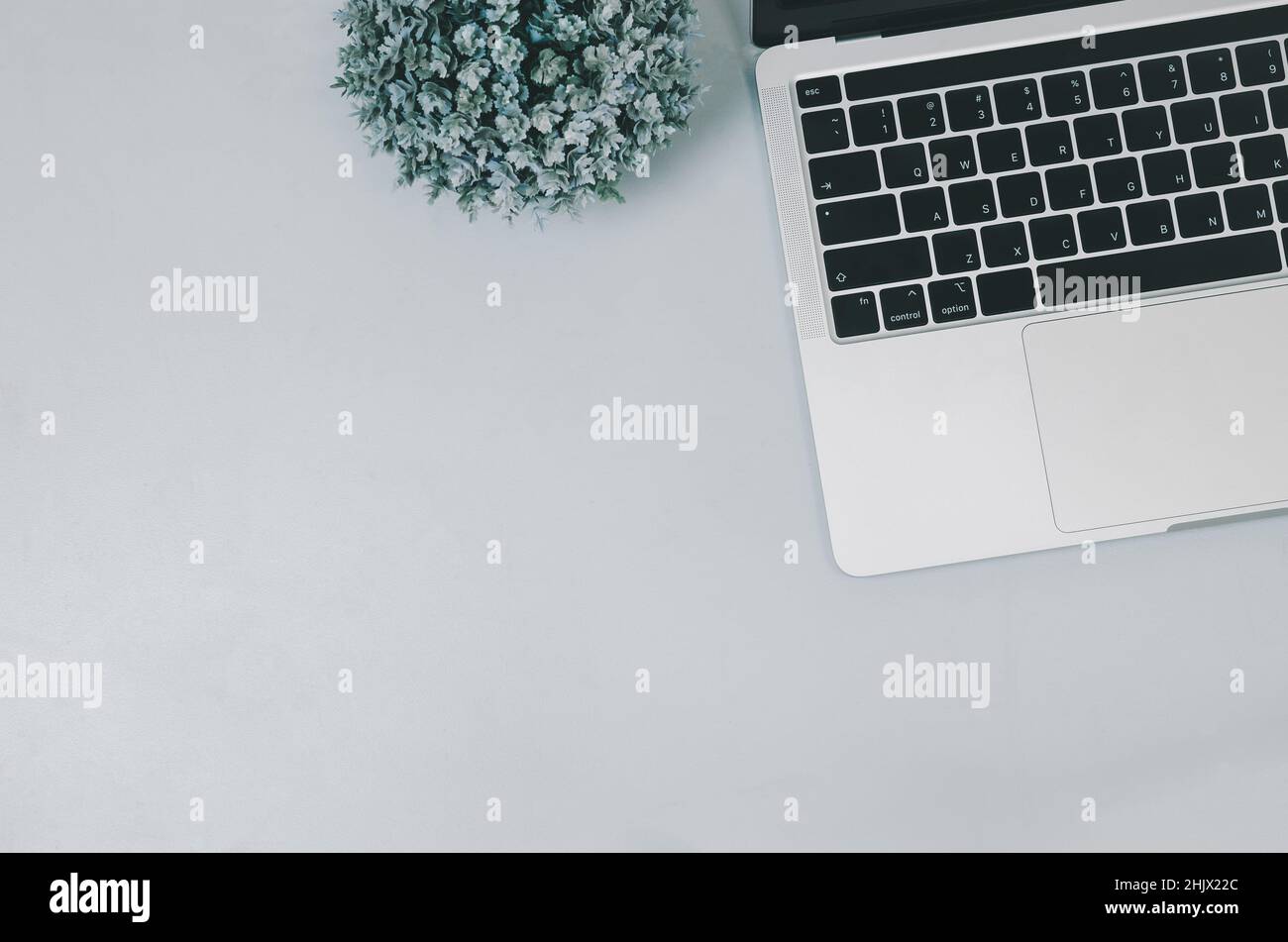Top view flat lay computer laptop and flower on table.Copy space Stock Photo