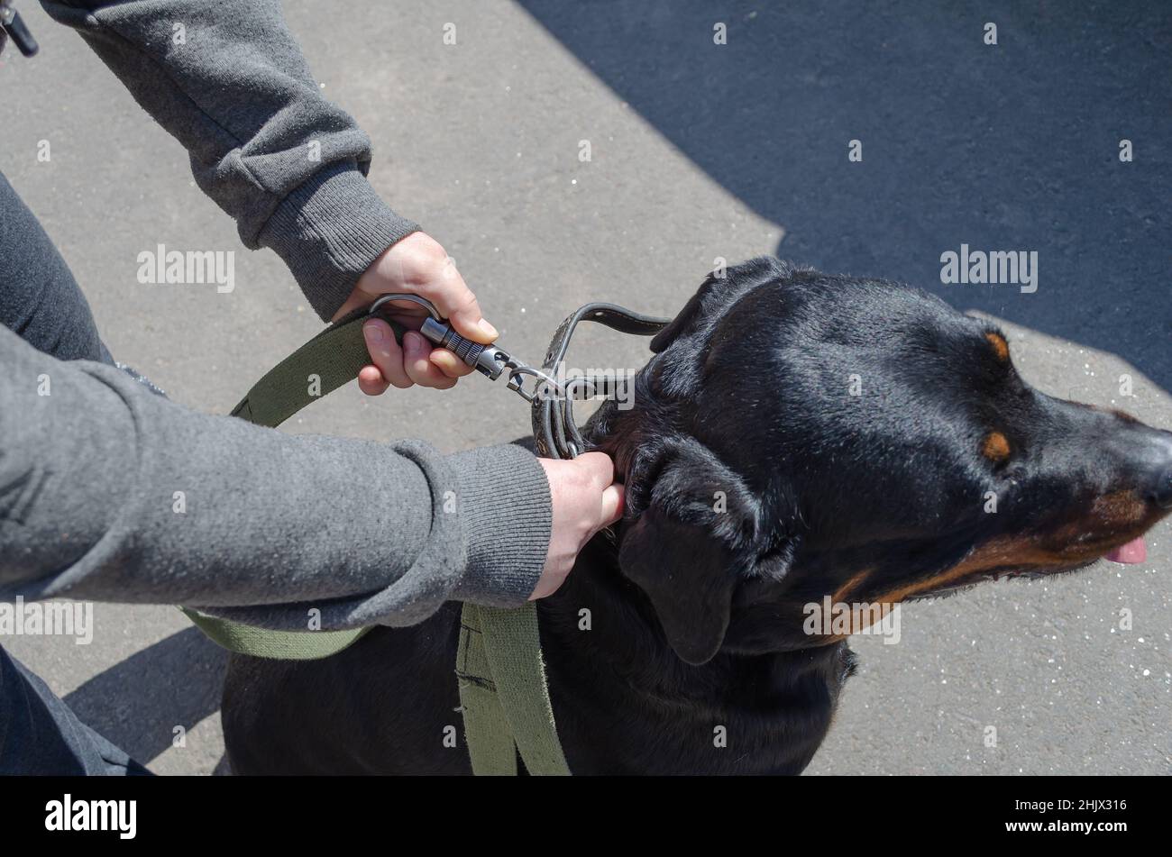 Closeup of a woman's hands fastening an unbreakable carabiner to her