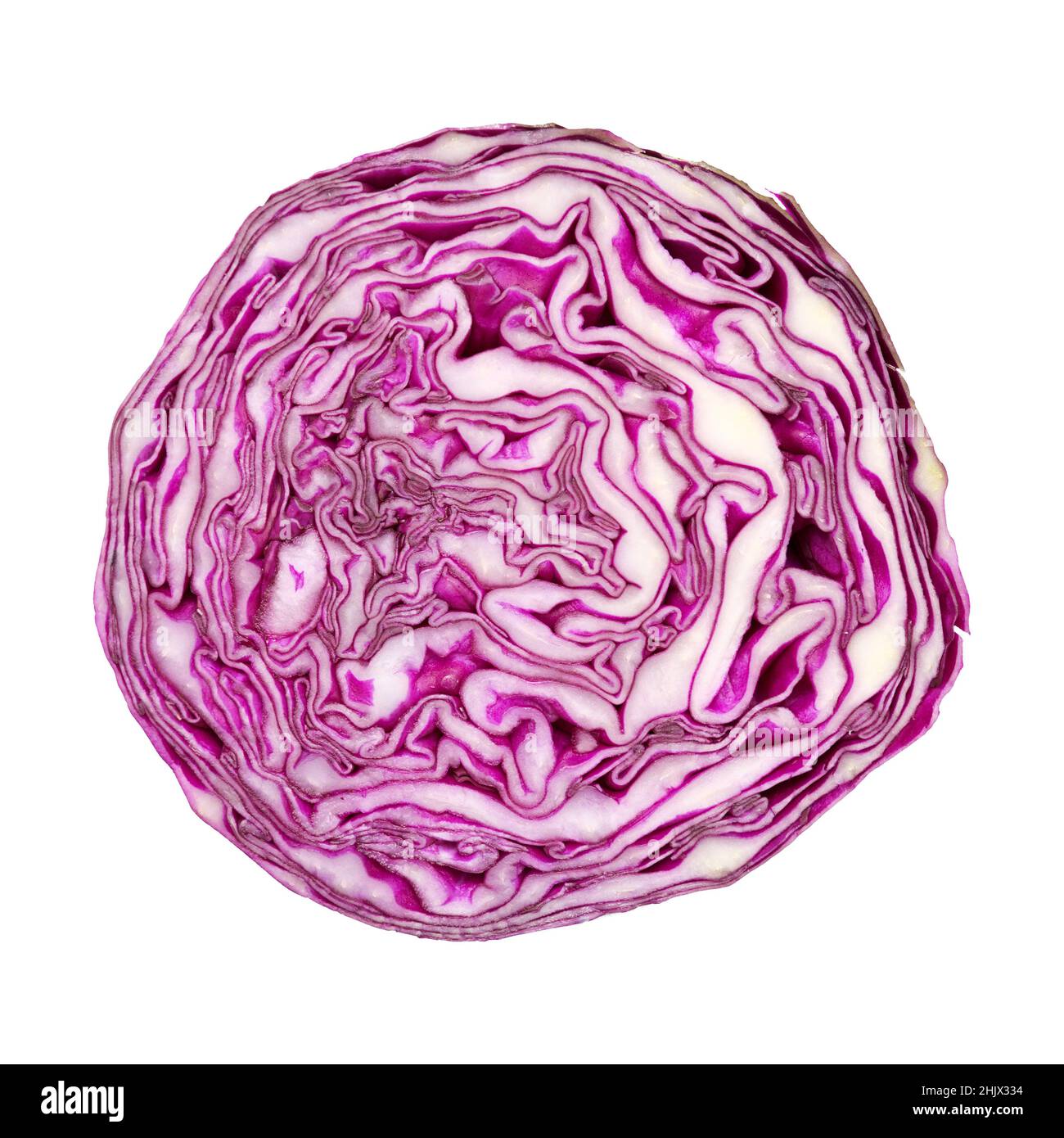 Cut though the middle of a red cabbage head, beautiful dark purple and white patterns revealed Stock Photo