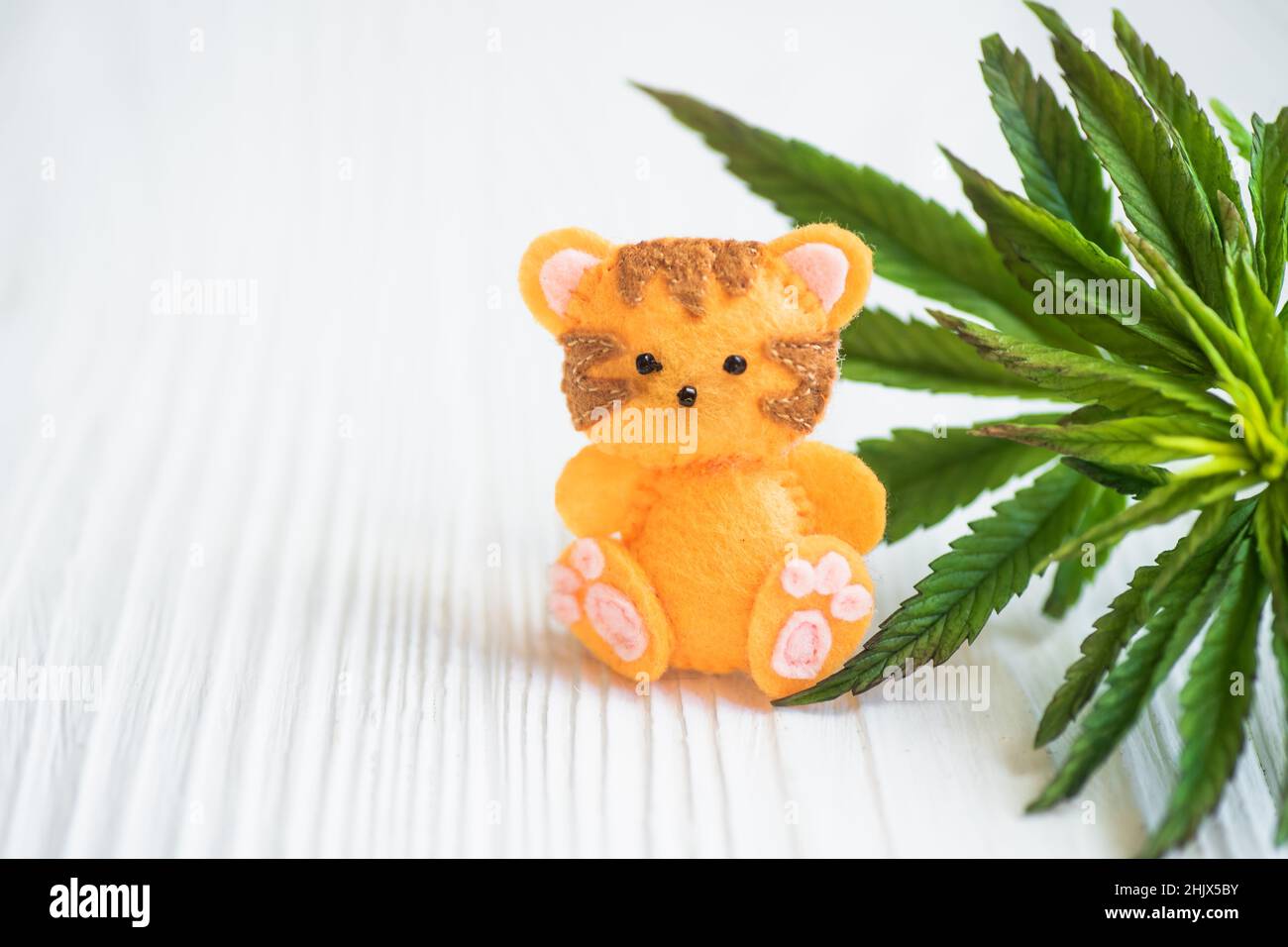 tiger is symbol of 2022 on Chinese New Year calendar near cannabis leaf. Legalization of medical marijuana in the world Stock Photo