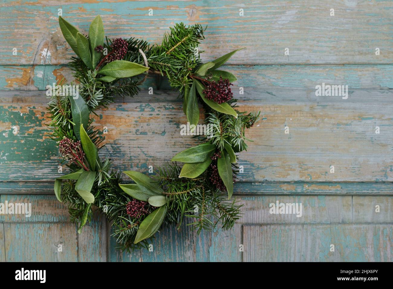 Traditional door wreath with skimmia (Skimmia japonica), an evergreen shrub and fir twigs. Christmas home decoration. Stock Photo
