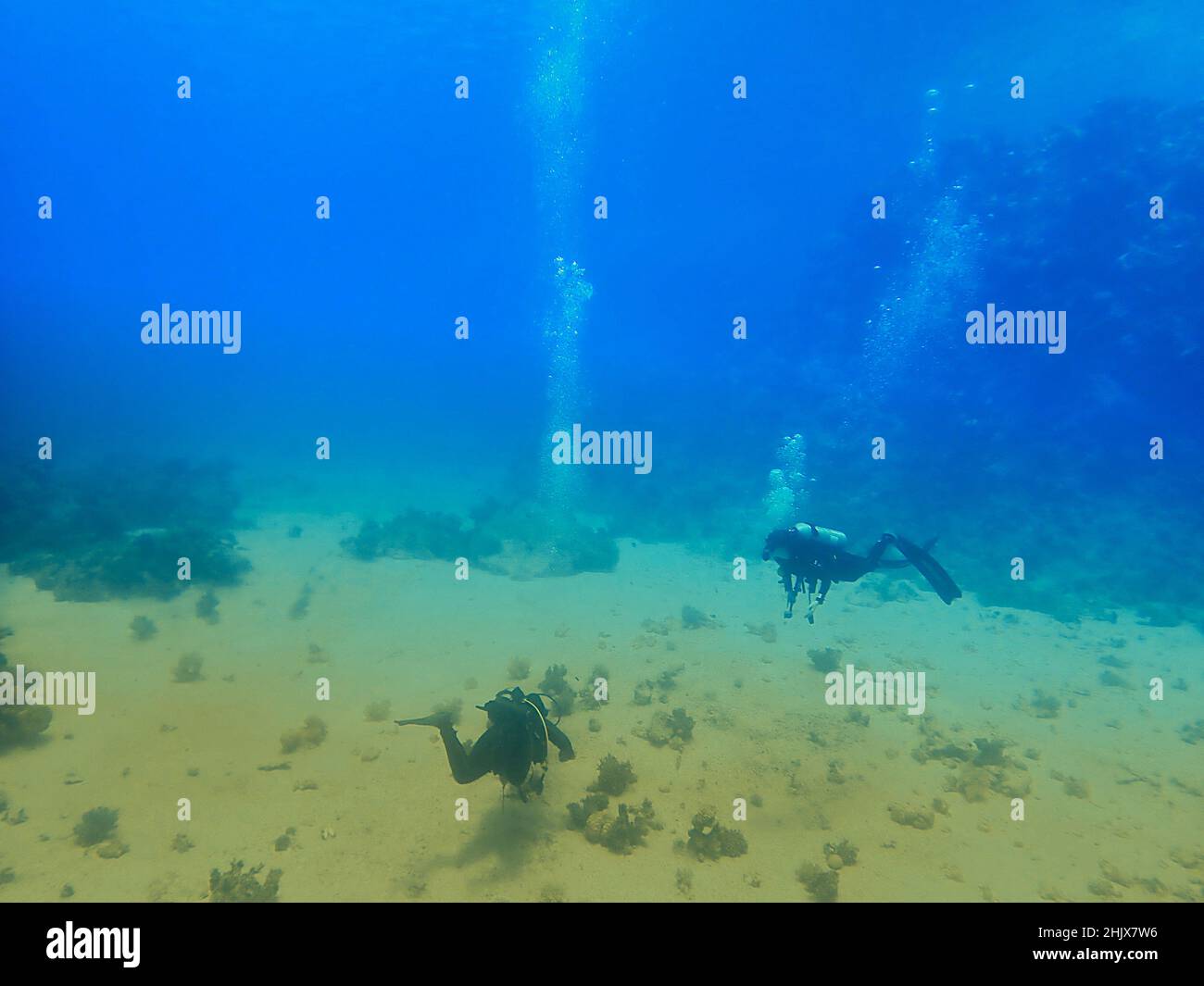 scuba divers on the ocean floor Stock Photo