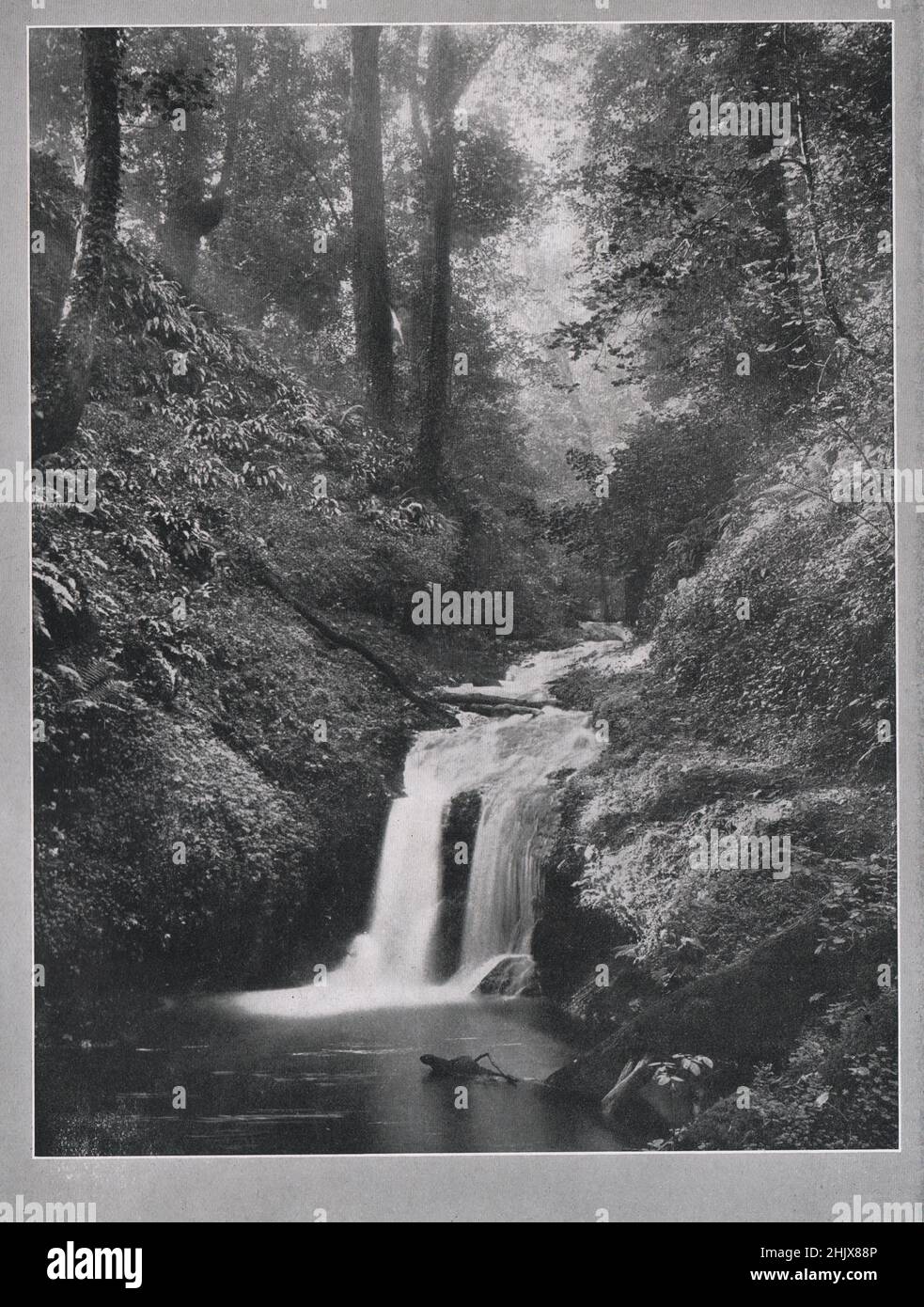 A glen in the Quantocks . Somersetshire (1923) Stock Photo