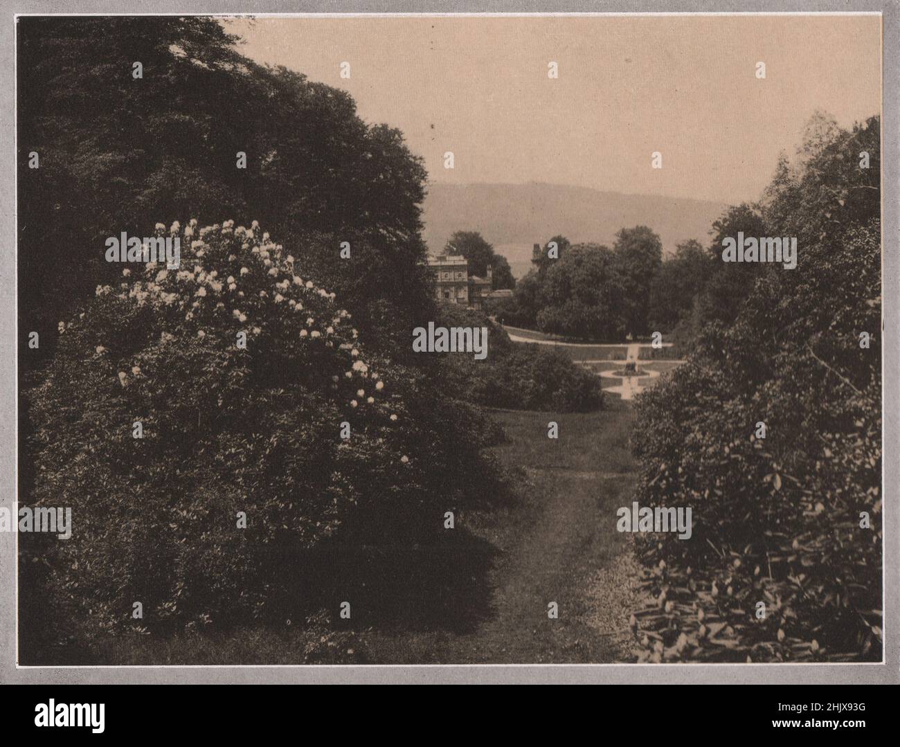 Deepdene, Dorking . Surrey (1923 Stock Photo Alamy