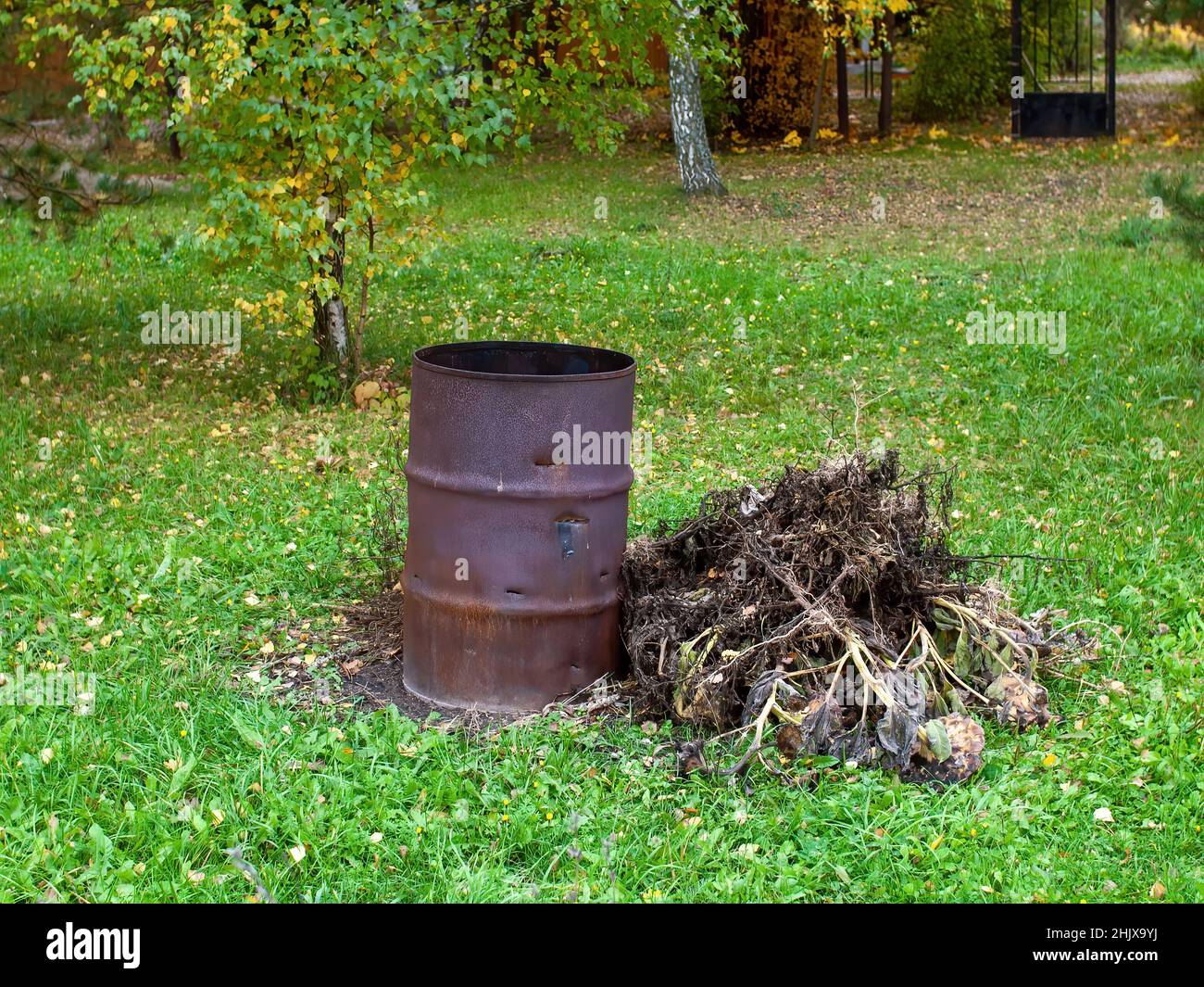 old iron barrel for burning garbage, in the village Stock Photo Alamy
