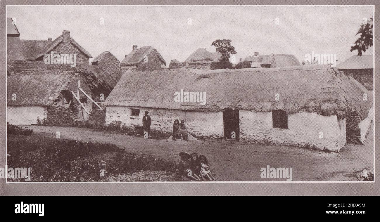 Cottages in Rathnew . County Wicklow (1923 Stock Photo Alamy