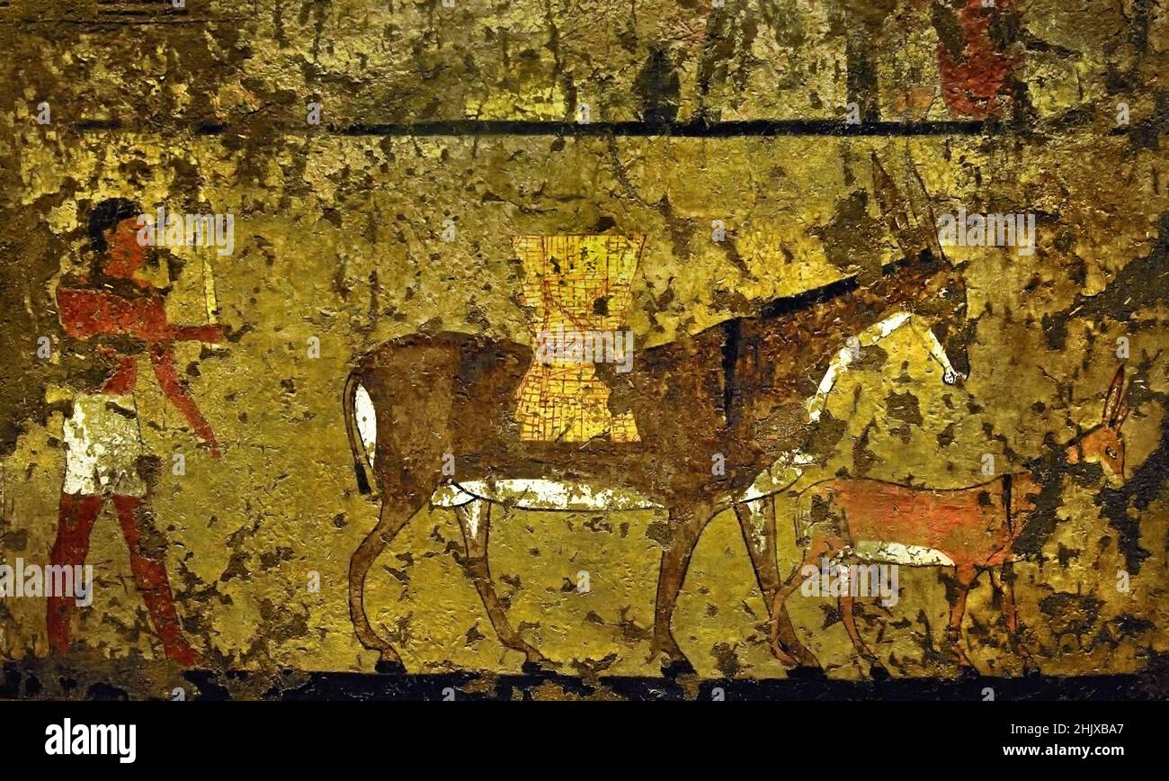Tempera painting, First Intermediate Period, Gebelein, Tomb Of Iti and Neferu ( 2118-1980 BC ) - Donkeys A man leads a donkey who carries on his back two baskets tied together Egypt (Museo Egizio di Torino Italy) Stock Photo