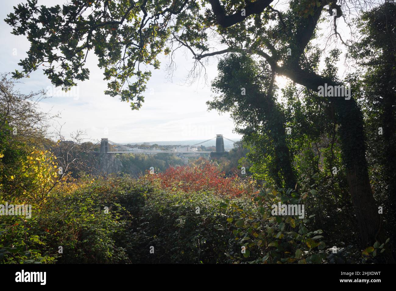 Clifton Suspension Bridge from Leigh Woods. Bristol. UK. Stock Photo