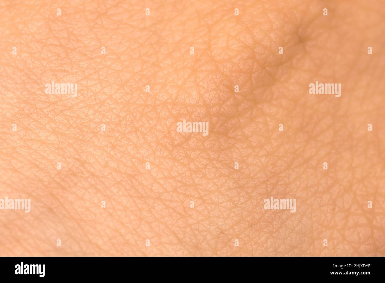 Human skin texture. Detail healthy skin background. Young person