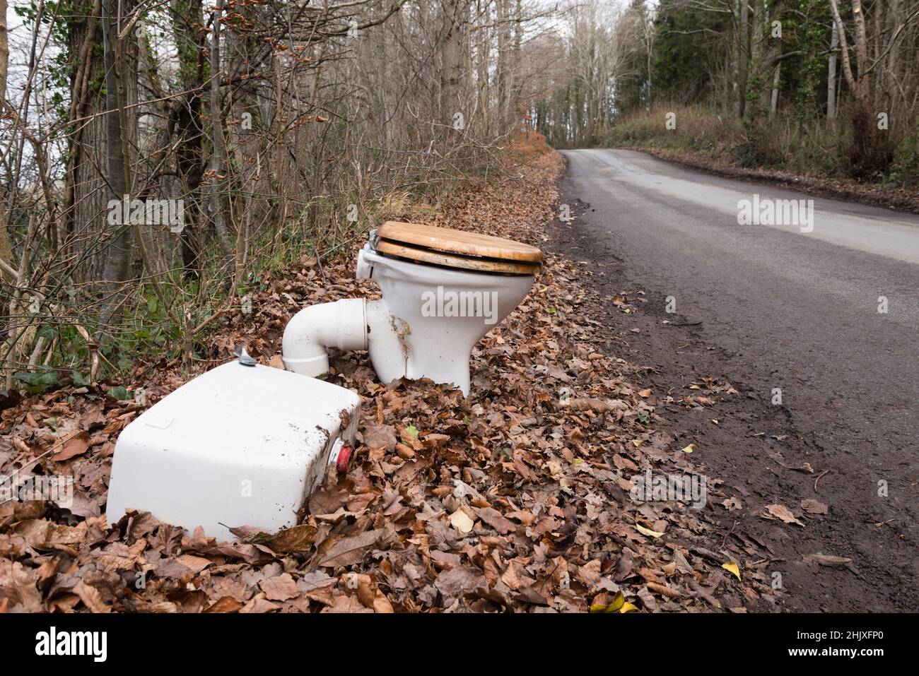 Fly tipping in the Herefordshire countryside, UK - a toilet and lavatory cistern dumped on a quiet country lane Stock Photo