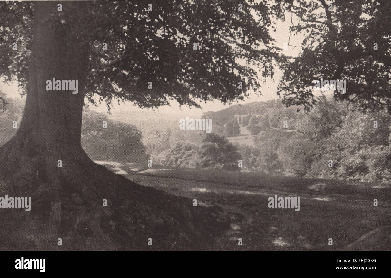 A Buckinghamshire Valley (1932) Stock Photo