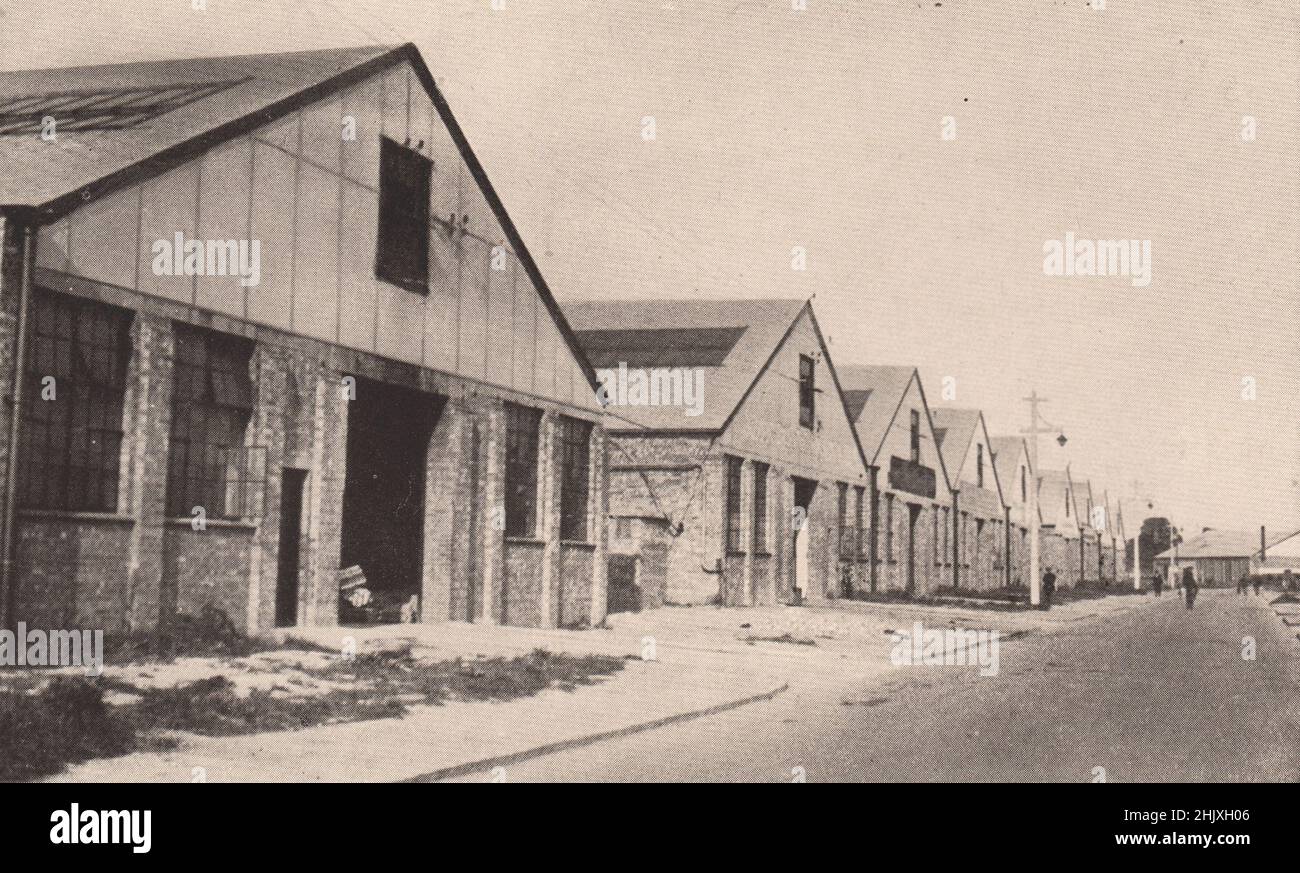 "Development" Palmerston Avenue, Slough. Buckinghamshire (1932 Stock