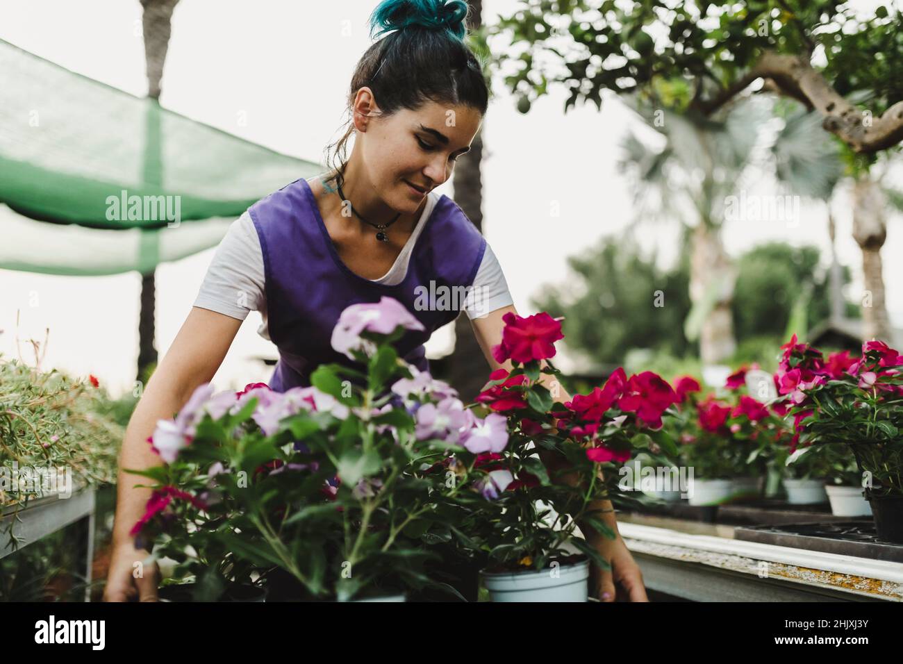 Female owner carrying flowering plants at nursery Stock Photo Alamy