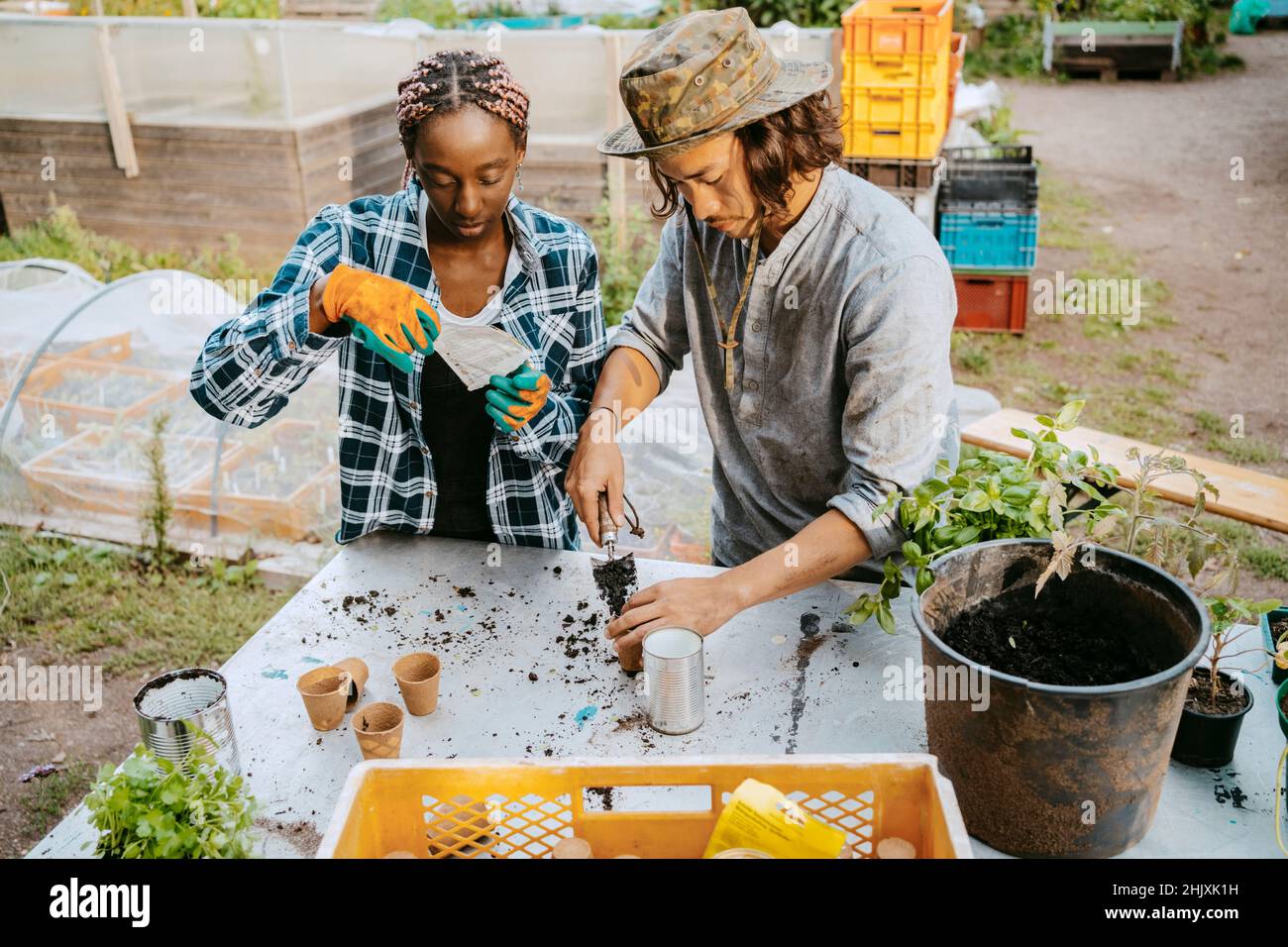 Male and female farmers planting at table in urban garden Stock Photo