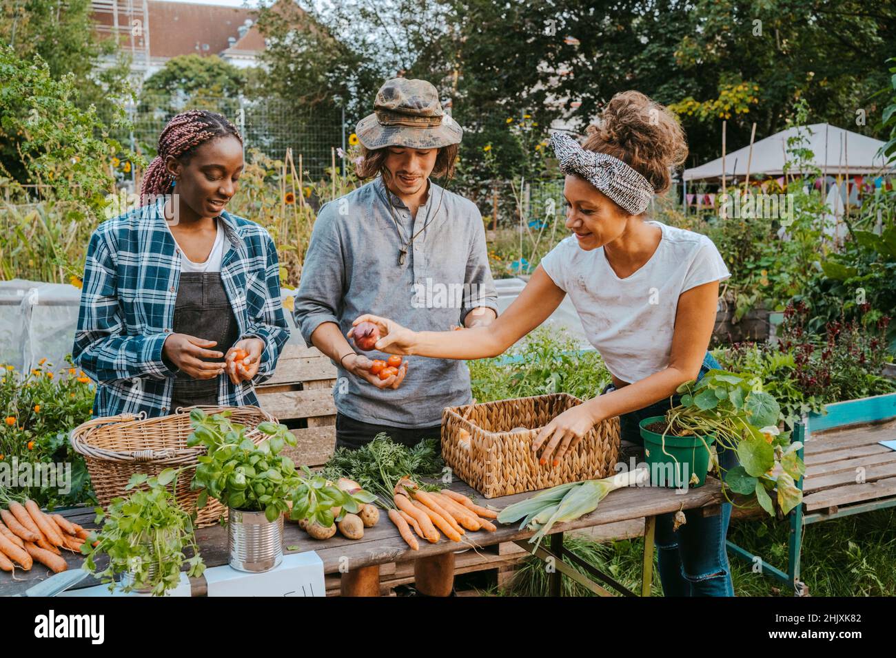 Male and female farmers selling vegetables in organic market Stock ...