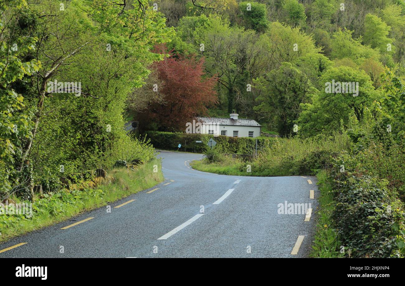 Landscape of County Leitrim, Ireland featuring winding road leading  towards cottage home bordered by greenery Stock Photo