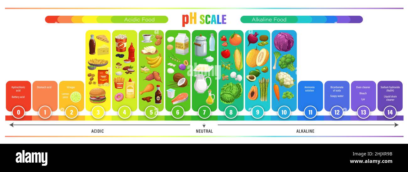 PH Scale Chart Acid Balance Of Nutrition Measure Meter And Food Chemistry Science Infographics