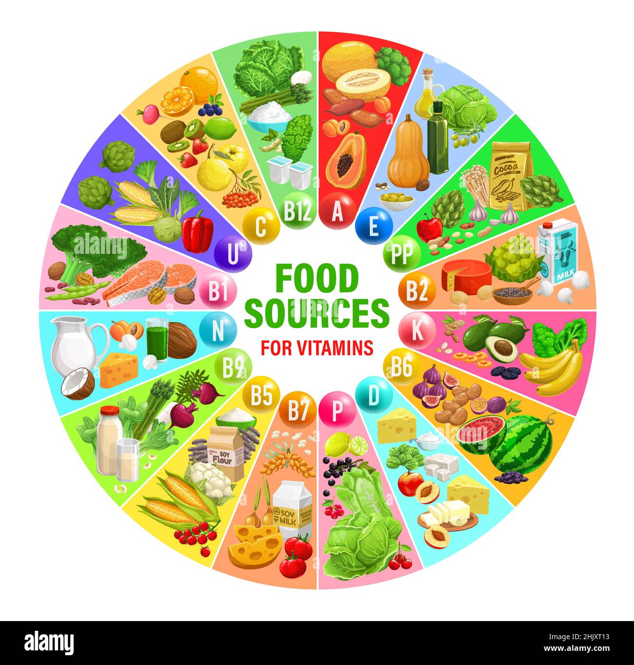 Food sources of vitamins and minerals. Healthy food chart or vector wheel scheme with dried fruits, fresh vegetables and berries, fish meat seafood, c Stock Vector